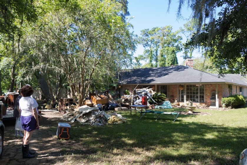 36312458443_771469fdea_k