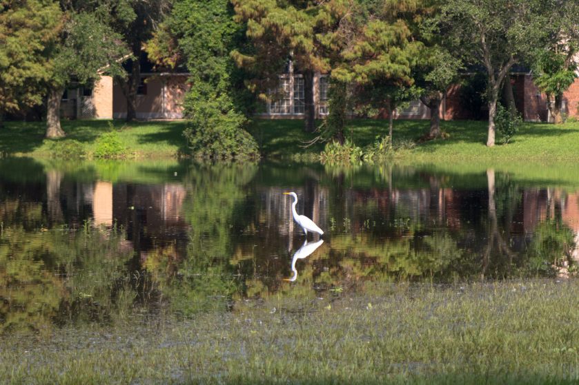 36842889321_367a23e78d_k