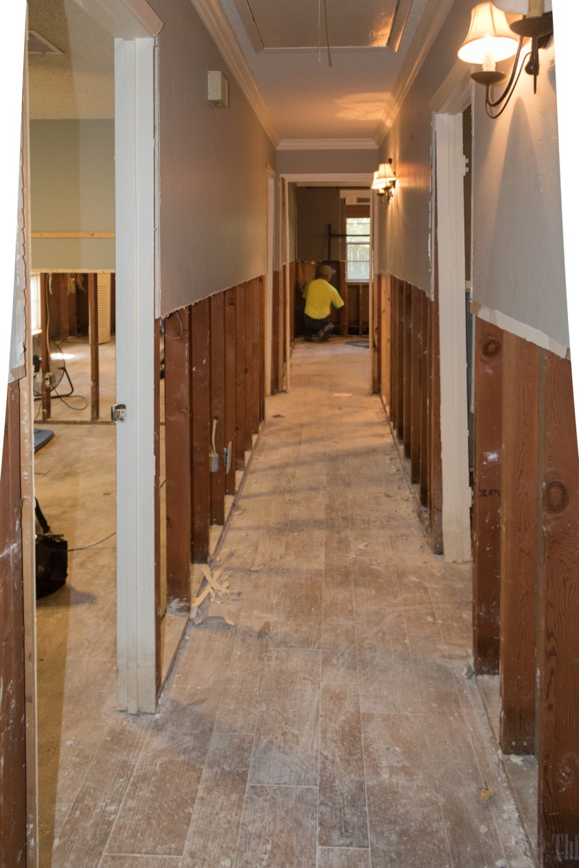 36984082421_01f284608e_k