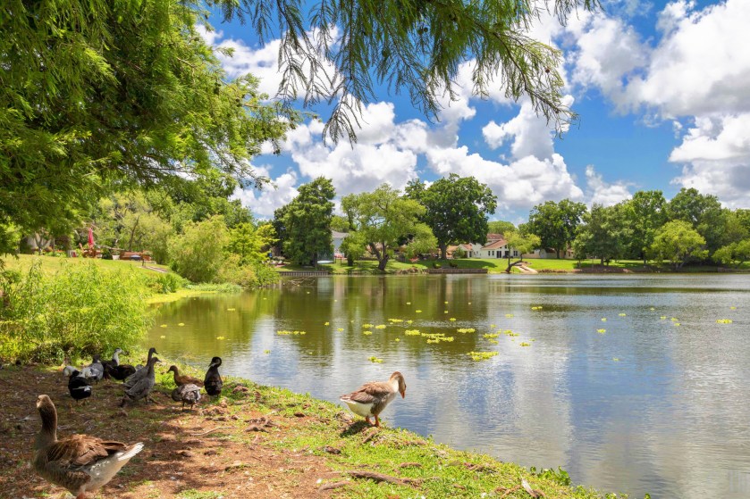 27953388527_a7f8e3a2bd_k